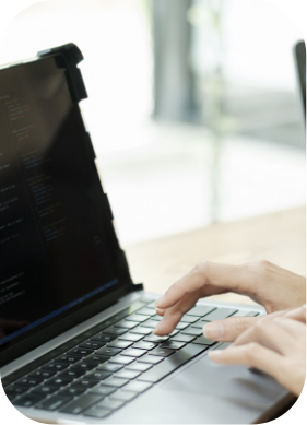 IT consulting services